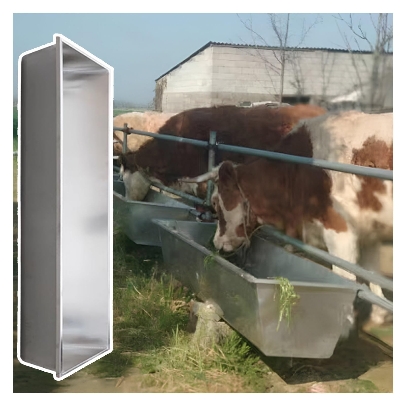 Comedero, Bebedero y comedero para Ganado al Aire Libre, Cuenco de 50 cm para Caballos, Cabras, terneros y Cerdos: solución Esencial para la alimentación de Animales de Granja.