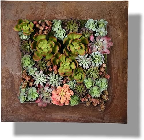 Vista 57 de Vandue Modern Home Living - Maceta suculenta de acero galvanizado de acero galvanizado (zinc envejecido, 16 bolsillos)