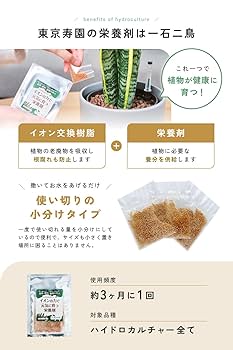 Amazon｜東京寿園 観葉植物 5点セット ハイドロカルチャー 本物