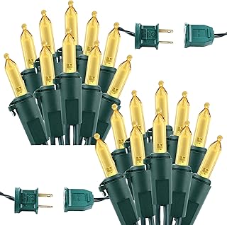 Brizled Christmas Lights Warm White, 2 Pack 33ft 100 LED Christmas Strin...