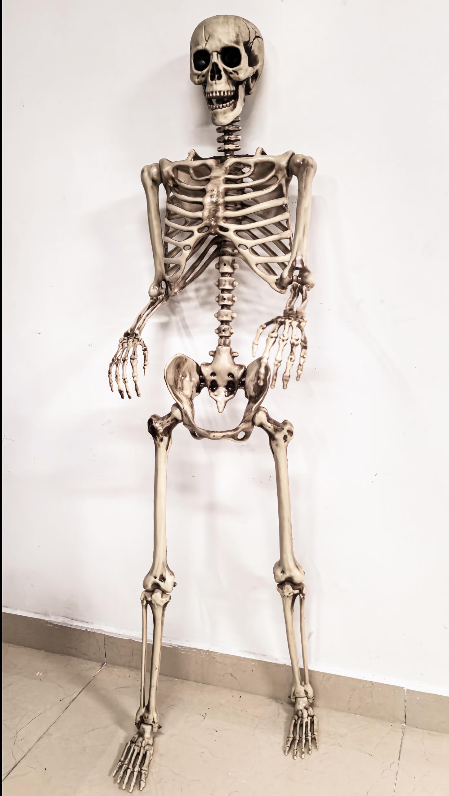 Aimeiar 5.4 Ft Halloween Skeleton Life Size, Posable Skeletons Decor, Full Body Movable Joints Giant Skeletons for Halloween Decoration Outdoor, Haunted House Prop, Spooky Scary Graveyard Party