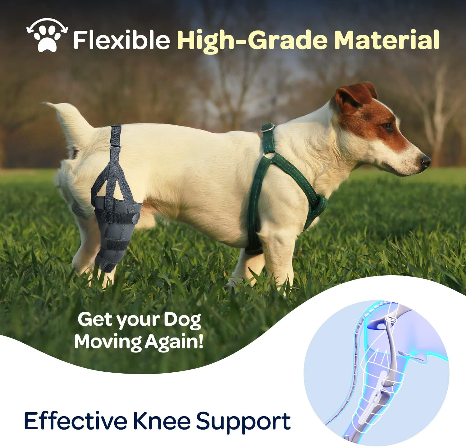 Buy Labra Dog Canine Knee Stifle Brace Wrap, Metal Splint Hinged