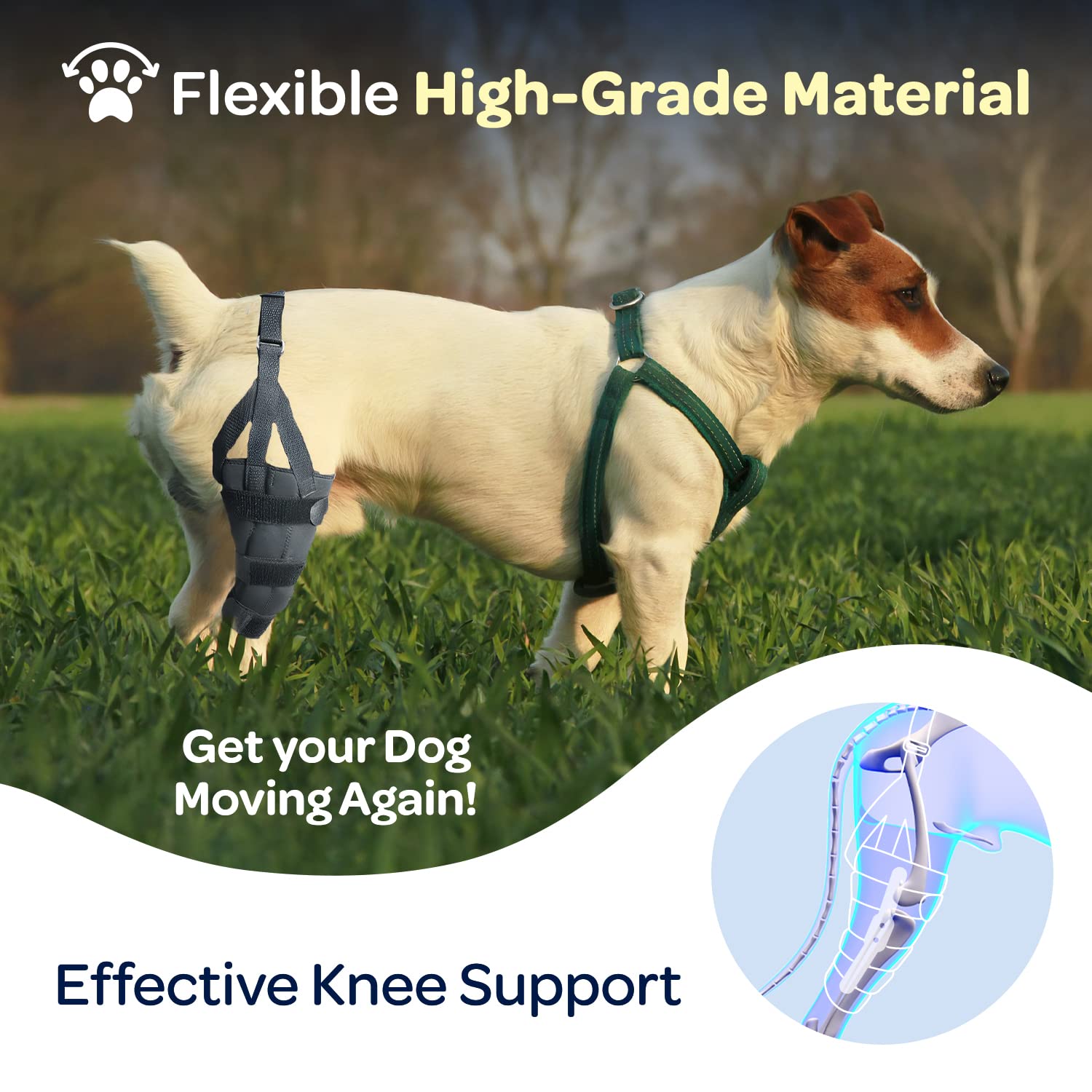 labra knee brace