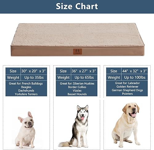 Miniatura 5 de CozyLux Cama para perros grandes, almohadilla ortopédica grande de espuma para perros con funda extraíble lavable, alfombrilla de cama para mascotas