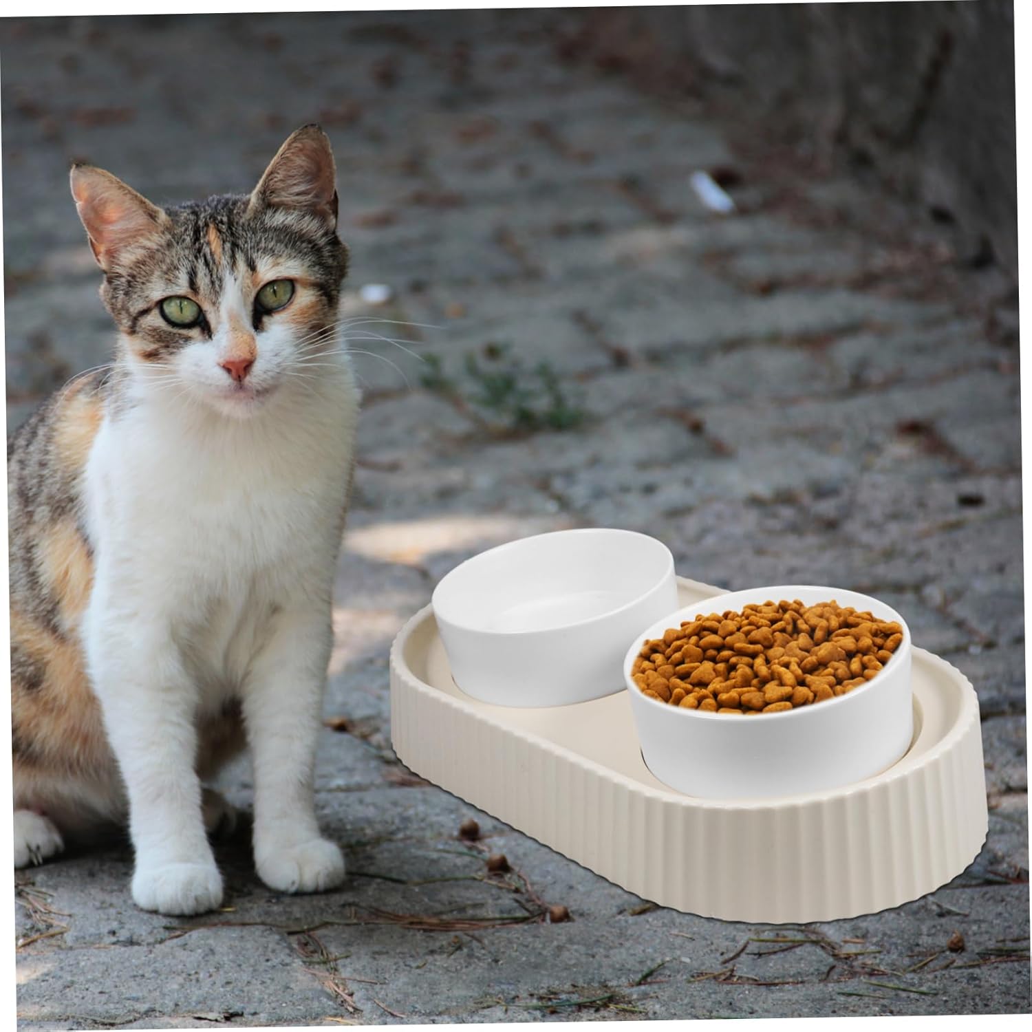 Ceramic Cat and Dog Bowls Set Elevated Tilted Feeding Dish for Small Dogs and Cats Non-Slip PET Water and Food Bowls Easy Clean 2-Piece Set