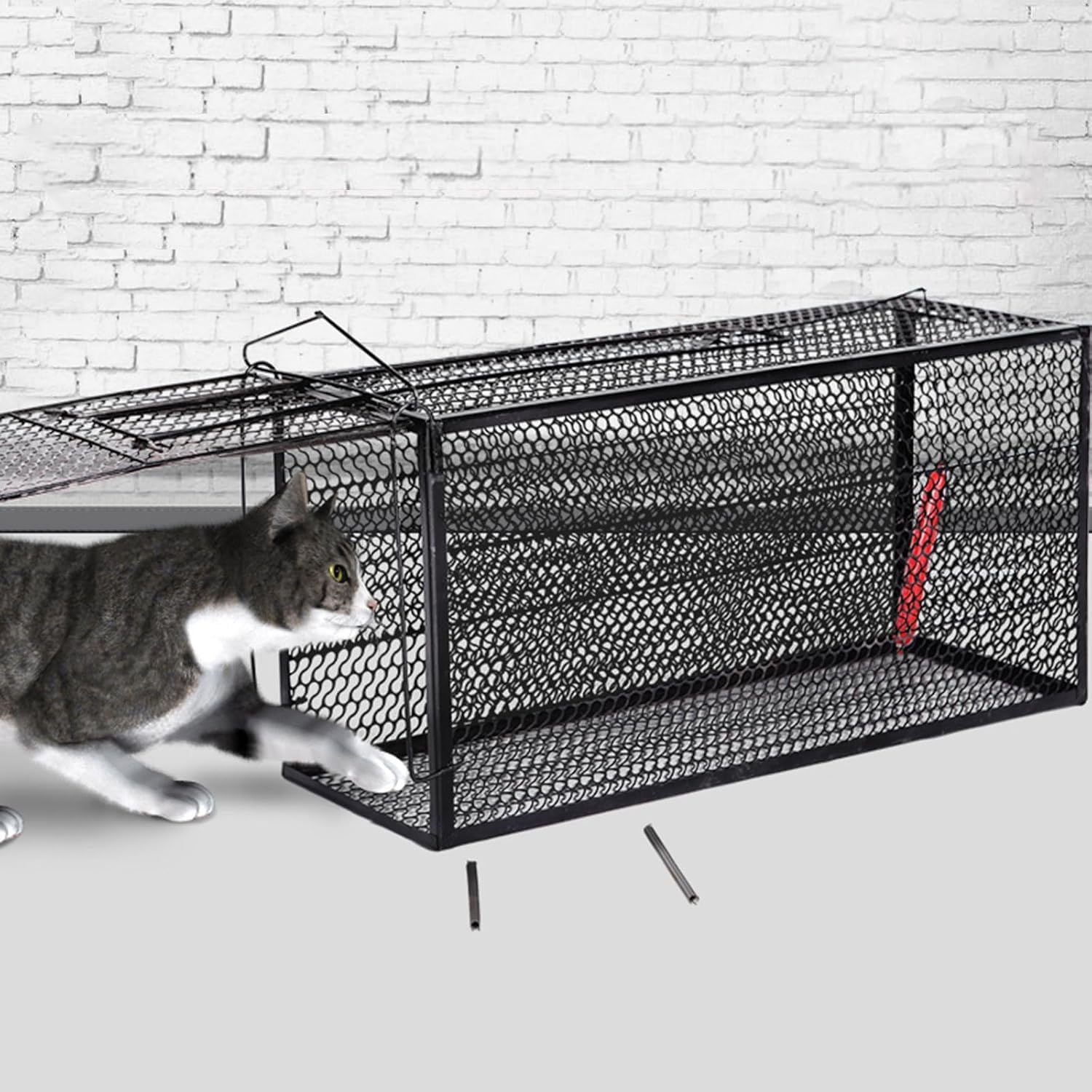 Trampa para Gatos Callejeros Adecuada para Tiendas De Mascotas para Ayudar A Las Mascotas A Casa Y Bañarse, 53X19X19cm