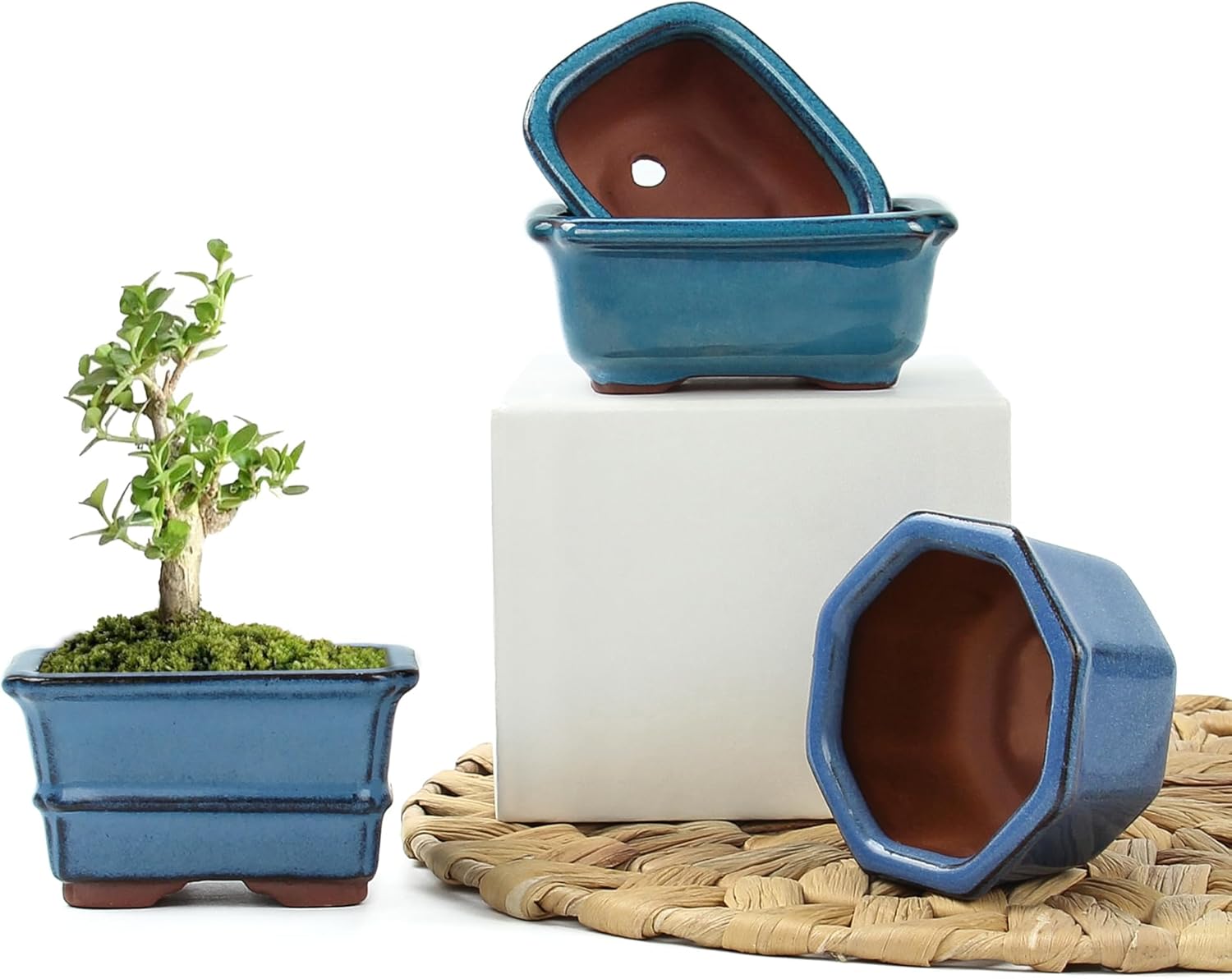 Bonsai Planter Succulent Mini Glazed Pots Value Set of 4, with 4 Soft Mesh Drainage Screens