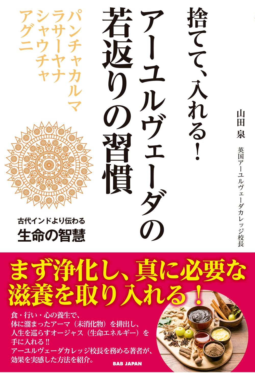 【2冊62000円で購入】現代に生きるアーユルヴェーダ＆なぜ人は病気になるのか 捨てて、入れる！ アーユルヴェーダの若返りの習慣 〜古代インドより