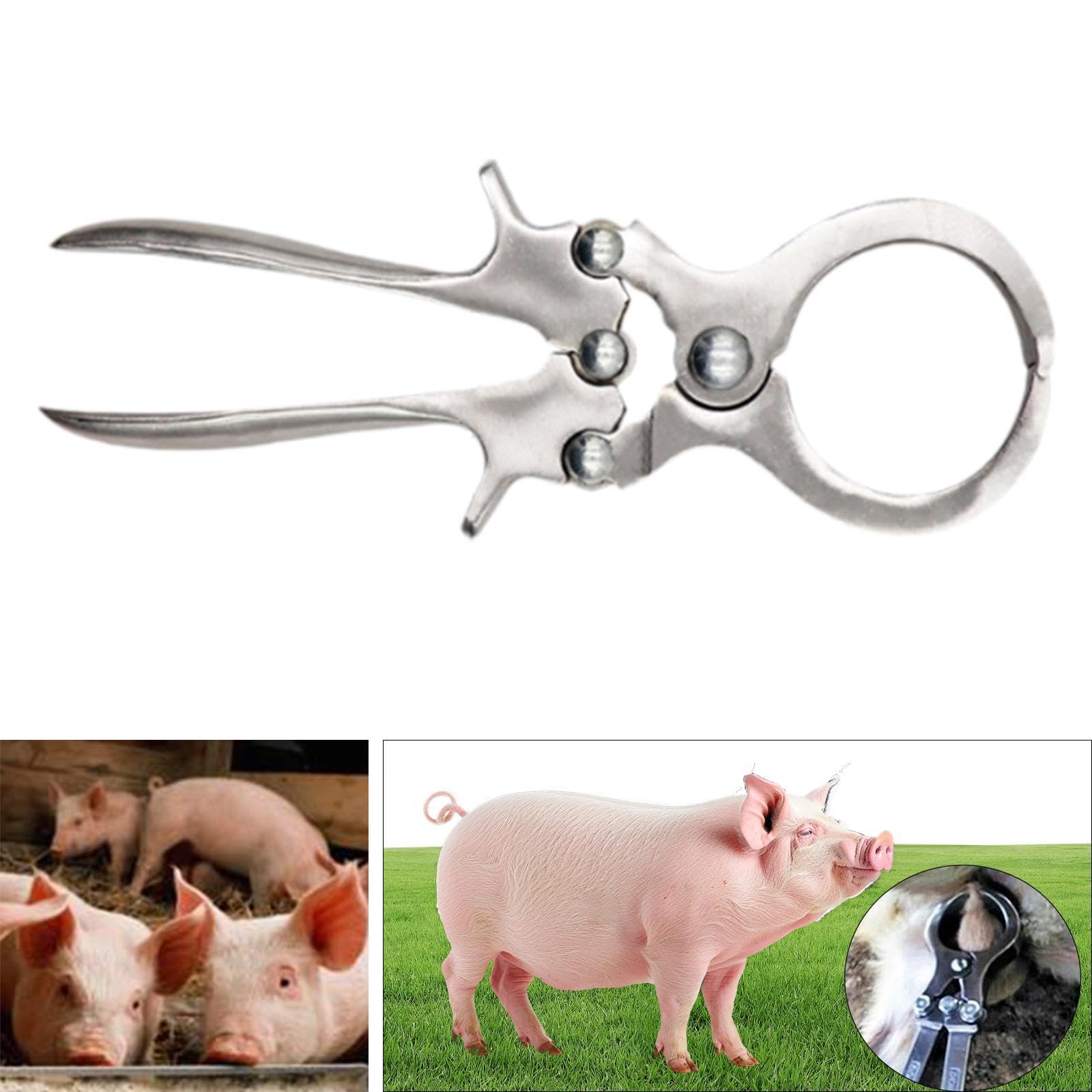perfk Castración de Ganado Castración Castración Portable Portable Herramienta de Bandas de Agarre cómodo EMASCULADOR de Animales para EDUCACIÓN de LA Farm, Style a