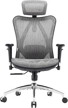 SIHOO M57 Ergonomic Mesh Office Chair, Lumbar Support, 150 kg, Grey