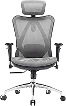 SIHOO Ergonomic Office Chair, Desk Chair, High Back, Breathable, Mesh Chair, with 3D Armrests and Adjustable Lumbar Support (Grey)
