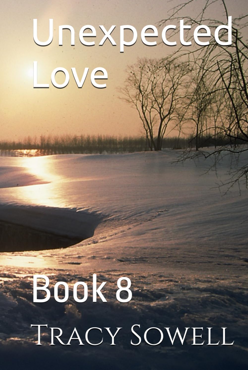 Unexpected Love: Book 8 (Chains of Passion)