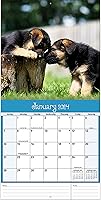Vista 4 de Turner - Mini calendario fotográfico de pared de cachorros juguetones (24998950017)
