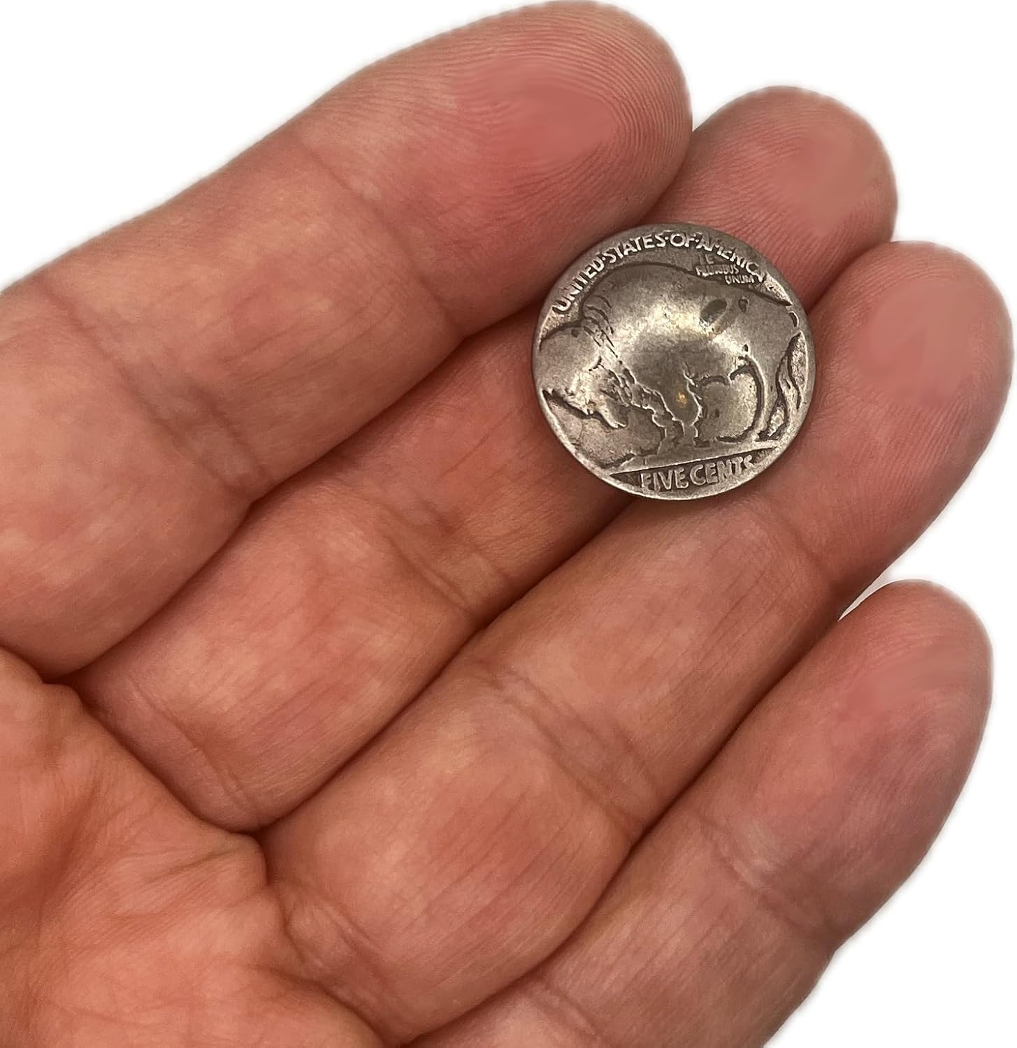 Nickel Genuine Buffalo Coin Button Coin Button Pack of 4 Findings