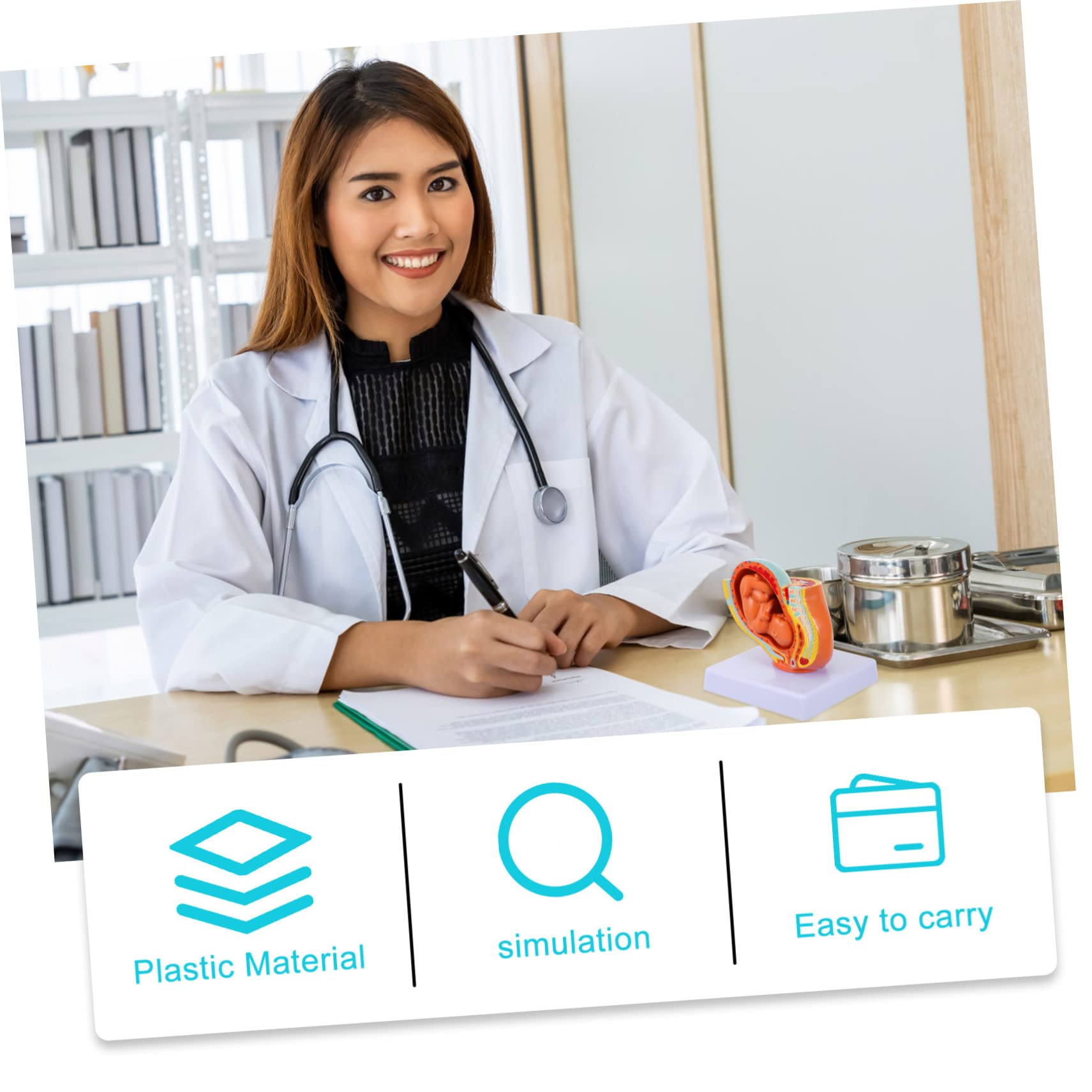 BELLIFFY Realistic Women Embryo Model Full-Term Uterine Fetus Display Pregnancy Teaching Tool Female Pelvis Anatomical Model Learning Aid