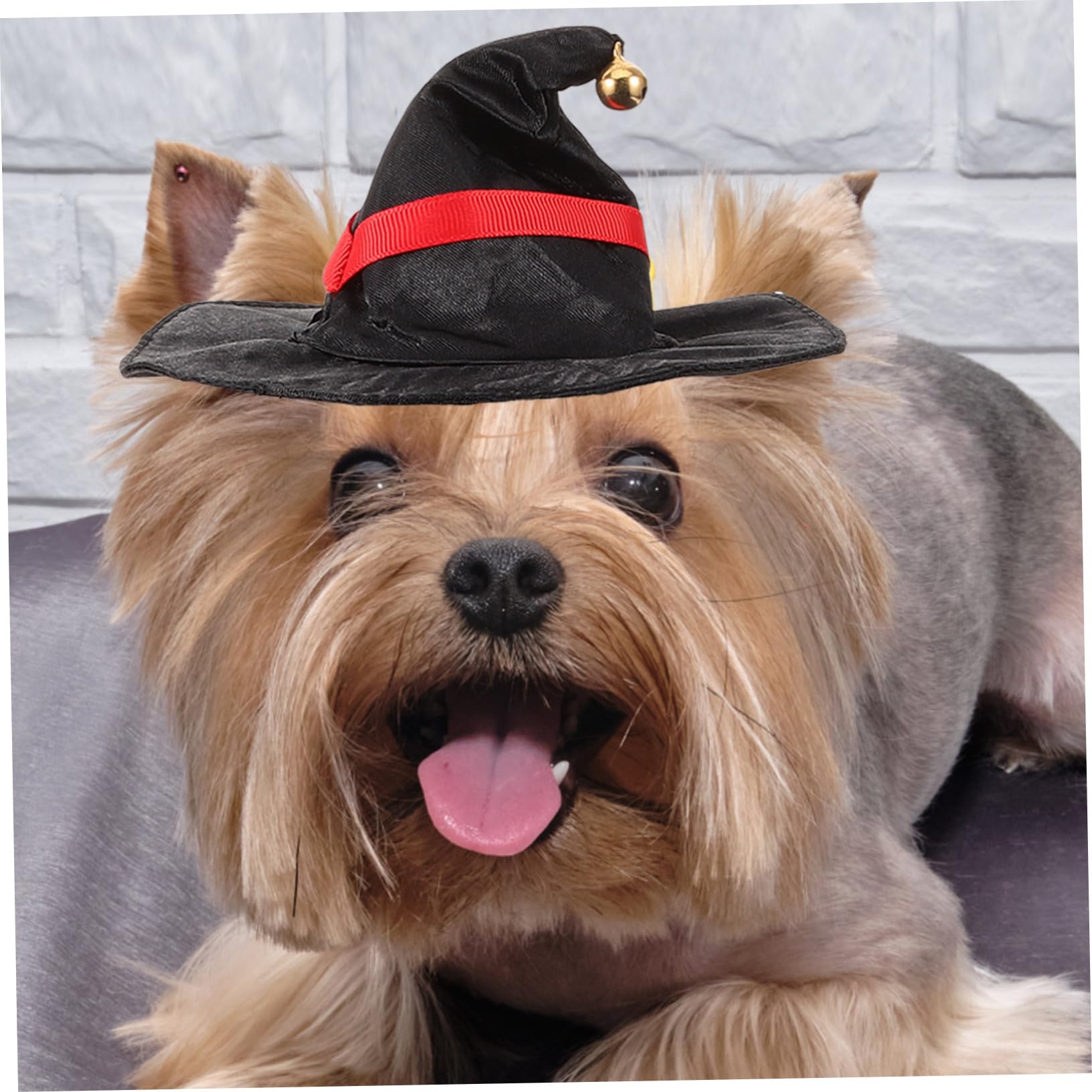WOONEKY 3 Set Di Costumi Per Cani Fascia Per E Gatto Accessori Per La Fotografia Abbigliamento Creativo Per Animali Domestici Per Halloween