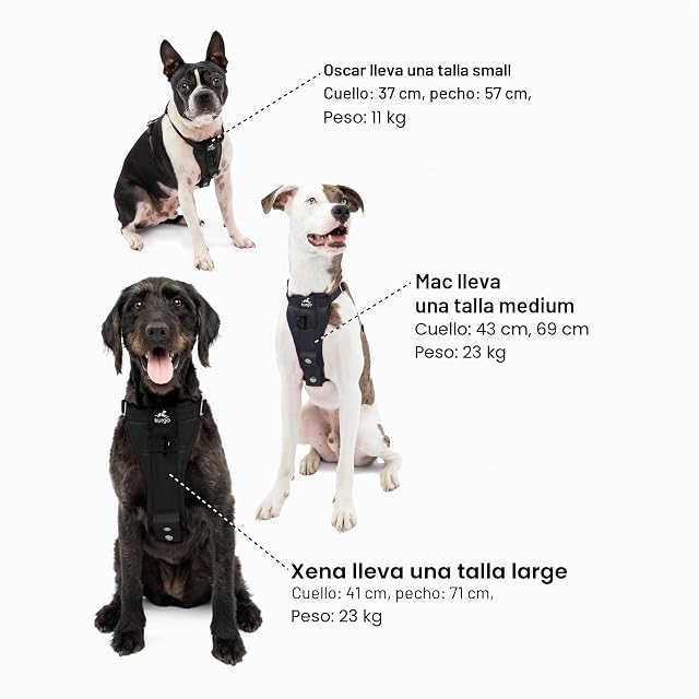 Foto 7 de 8 de Kurgo Arnés para Perro Tru-Fit - Arnés de Paseo para Perros
