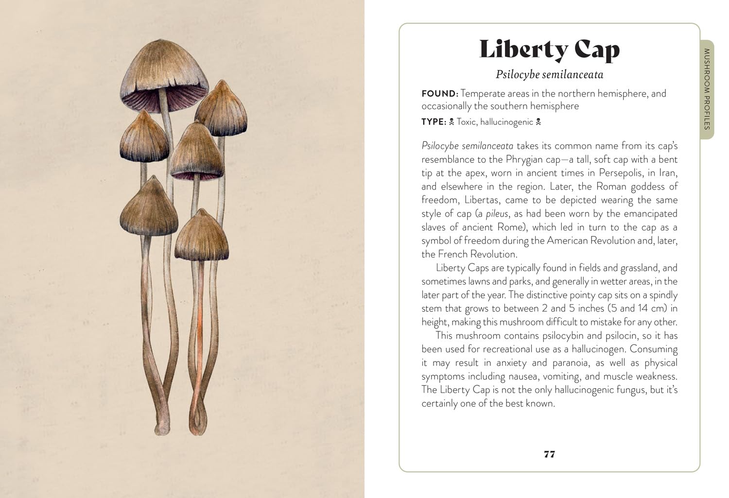 Mushroom Miscellany: An Illustrated Guide Featuring Fun Facts, Mushroom Profiles, Recipes & More