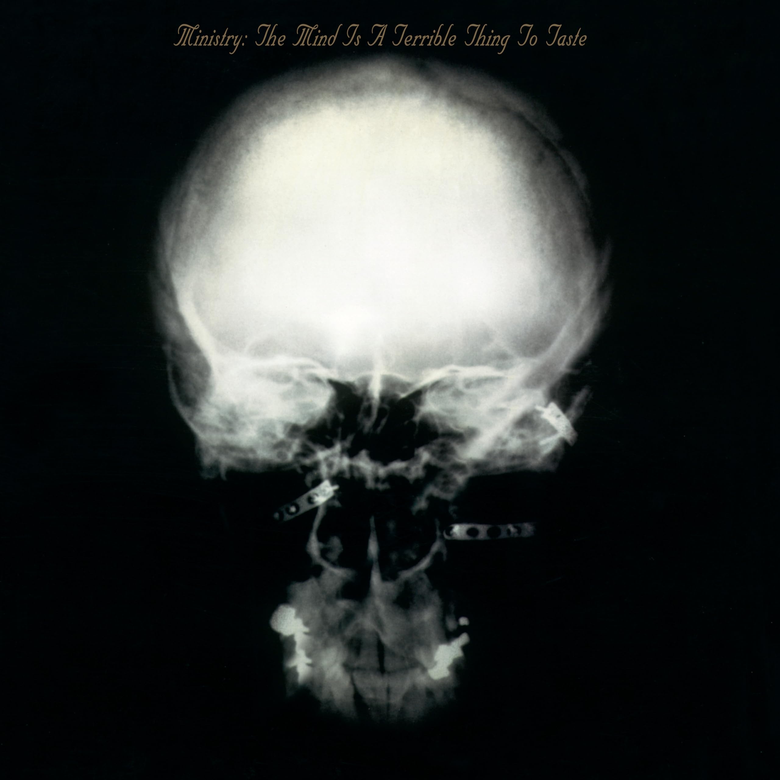 The Mind Is A Terrible Thing To Taste (Expanded Edition) [VINYL]