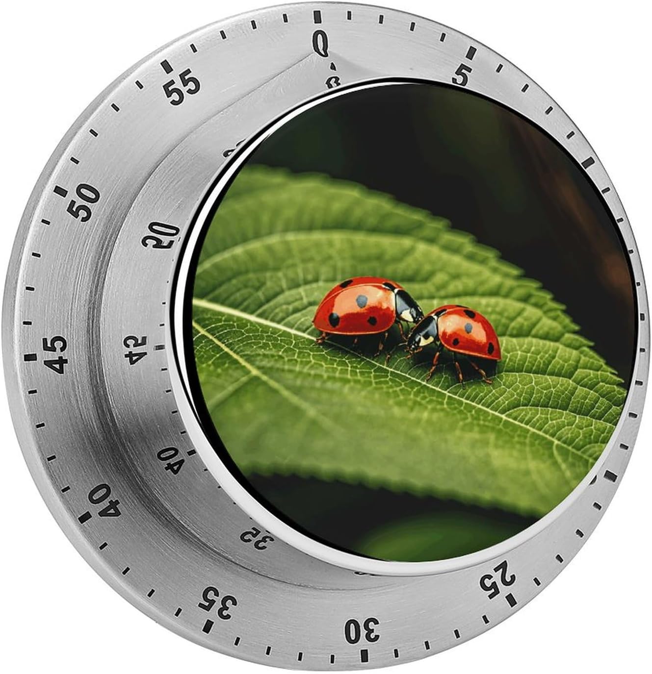 Leaves and Ladybug Timer Stainless Steel Kitchen Timers Waterproof & Rust-Proof 60 Minute Mechanical Timer with Loud Alarm for Cooking, Baking, Fitness