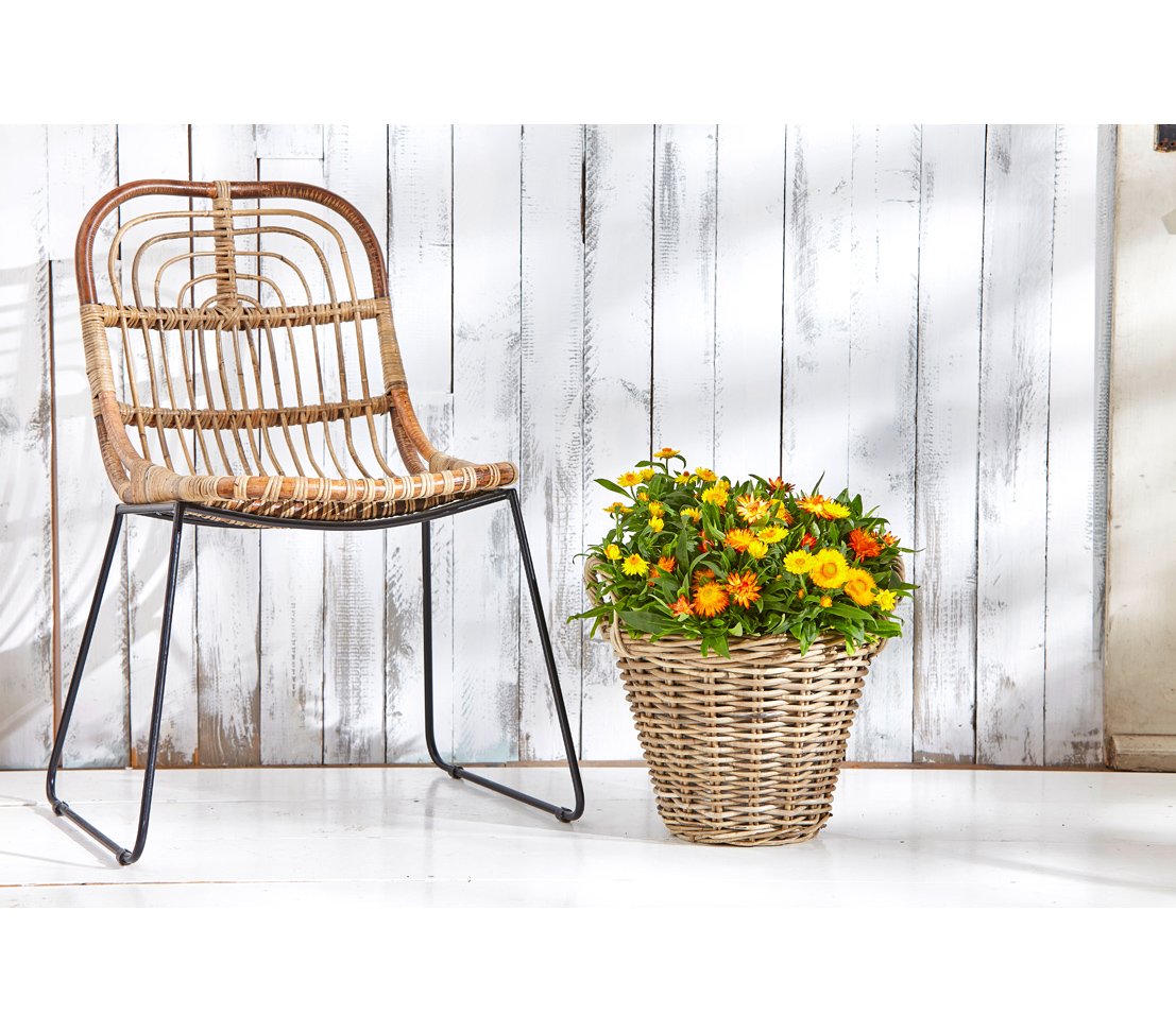 Cesta de mimbre Dehner con asas, Ø 40 cm, altura 30 cm, trenza de ratán, gris / marrón