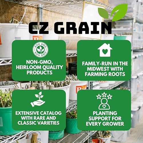 Miniatura 7 de Melocotones y Crema Semillas de Maíz Dulce Más de 250 Semillas