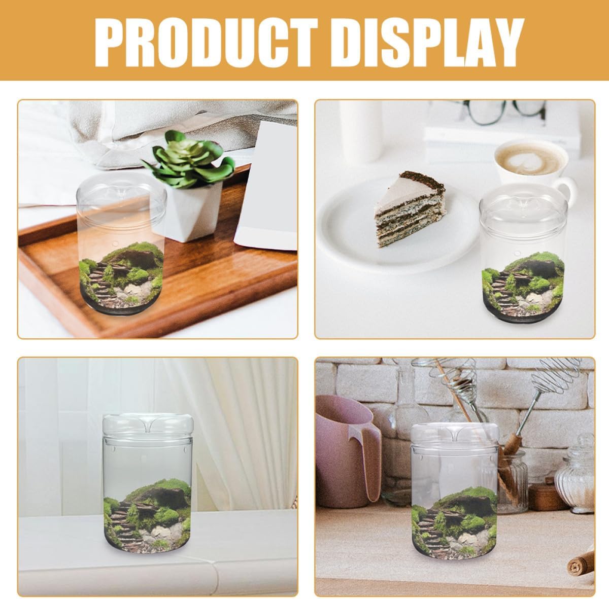 BESPORTBLE Glass Moss Terrarium Planter Vase with Lid for DIY Micro Landscape Gardening, Ecological Bottle 15X23Cm Decorative Plant Container for Home and Office
