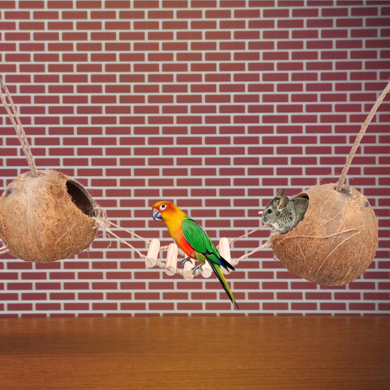 DOITOOL Vogel Kokosnussnest mit Holzleiter Naturmaterial für Kleine Vögel und Hamster Hängendes Nest für Vogelkäfig und Haustierspielzeug