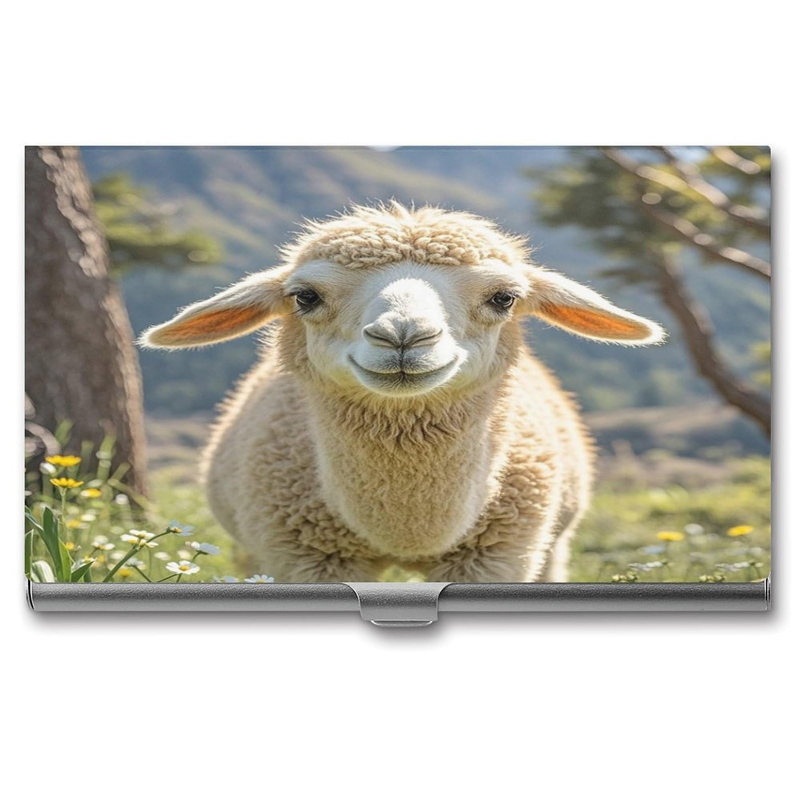Fekiloot Men's Style Lamb Business Card Holder For Wo Metal Slim Organizer Business Card Carrier Wallet Name Cards Holder Retro Slim Pocket Purse Small Portable Card Case