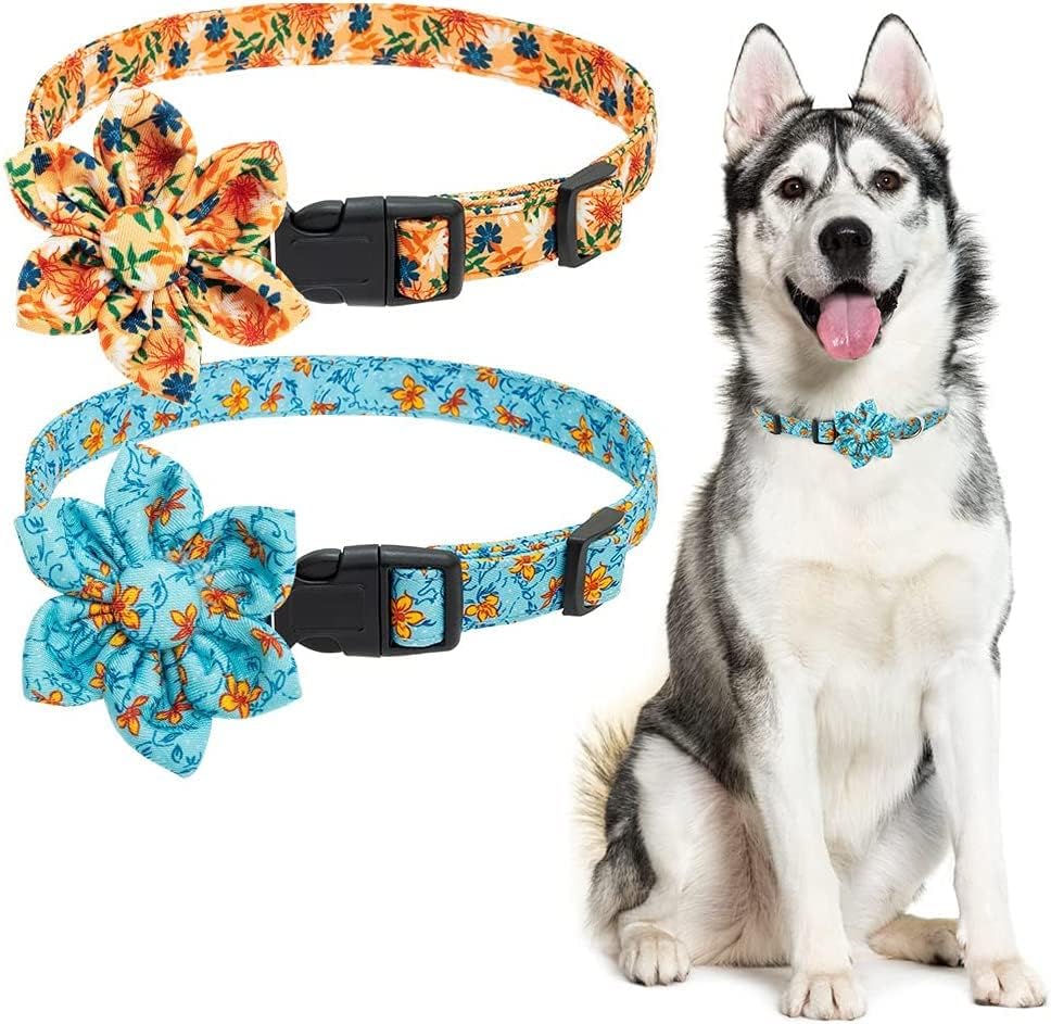 BINGPET Floral Dog Collar for Medium and Large Dogs- Cute Dog Collar Girl with Detachable Flower Accessories, Adjustable 12.9" to 21.6"