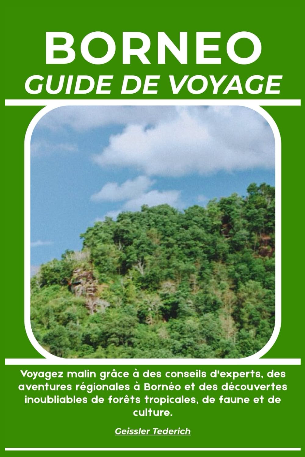 BORNEO GUIDE DE VOYAGE: Voyagez malin grâce à des conseils d'experts, des aventures régionales à Bornéo et des découvertes inoubliables de forêts tropicales, de faune et de culture.