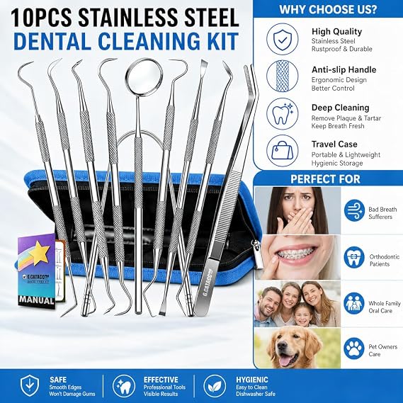 G.CATACC 10 Pack Dental Tools Kit Stainless Steel Teeth Cleaning Tools Set
