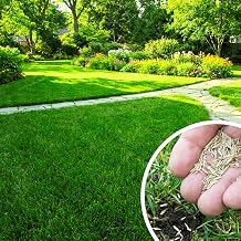 50000 Zoysia Grass Seed, Zoysia Grass Seeds for Lawn, Warm Season Lawn Seed for Dense and Ground Cover, Ready for Outdoor Growing
