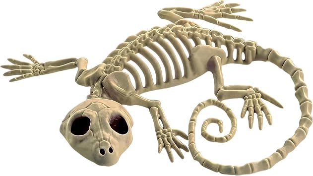 1Pcs Halloween Skeleton Bones Gecko Plastic Gecko Skeleton Model for Halloween Decoration Terror Scary Props