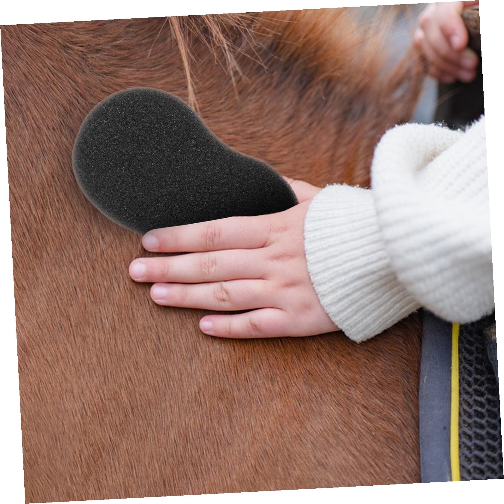 Genérico Esponjas Grandes para Limpieza Corporal de Equinos 5 Piezas 20x11 Cm, Esponjas Suaves para Cuidado y Baño de Mascotas, Herramienta Práctica para Aseo Diario de Caballos