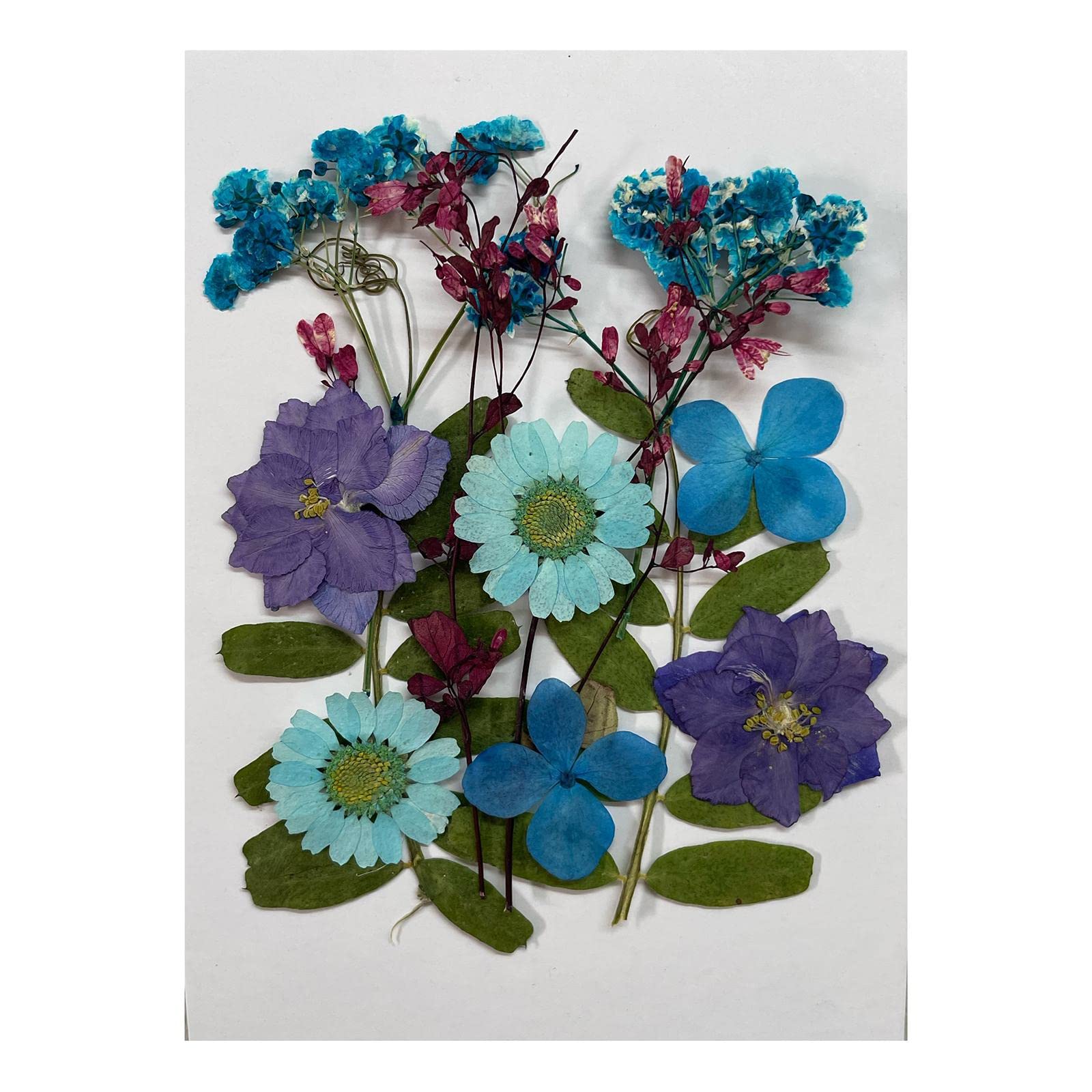 Ojiva® 5xDried Flowers Crafts Multipurpose for Table Decorations Furniture | Dried Flower Leaves, Just Mix And Match These Multiple Dried Flower In Different Color Or You Can Use Them Directly In-image-13