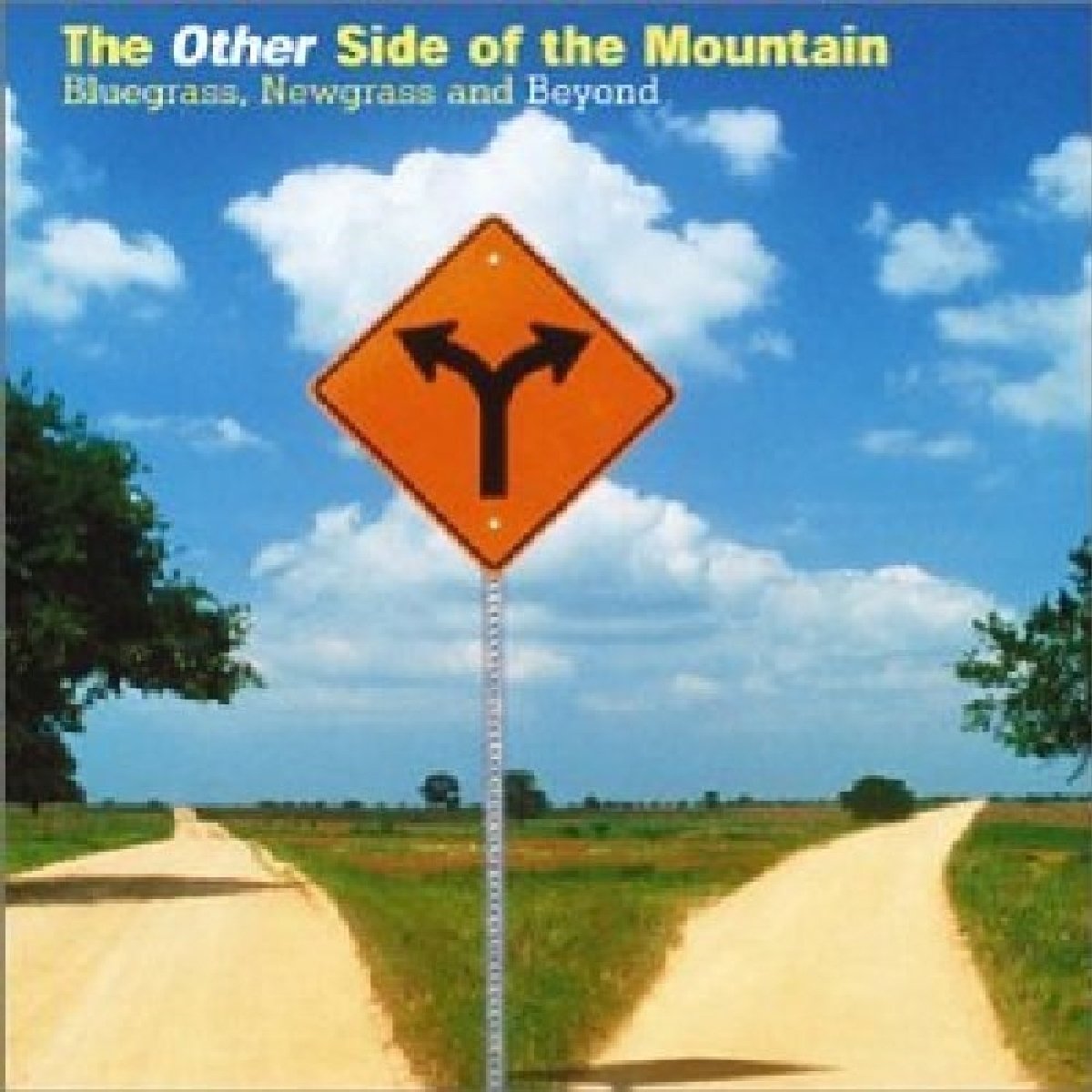 The Other Side Of The Mountain: Bluegrass, Newgrass And Beyond
