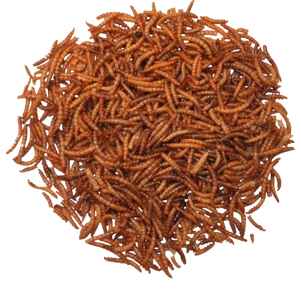 Agrarshop Mehlwürmer 10 kg Vogelfutter Wintervogelfutter Nahrungsergänzung