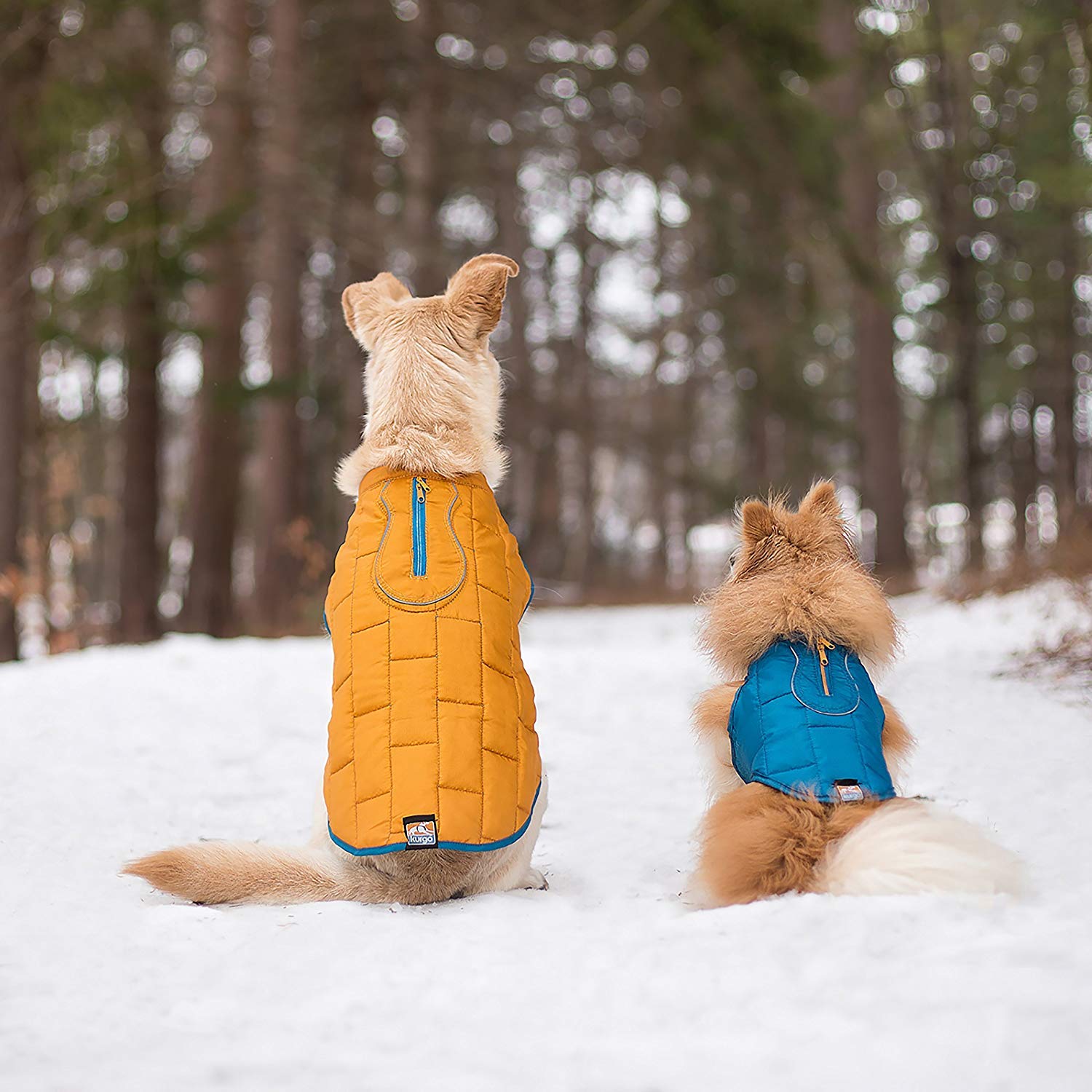 kurgo dog loft jacket