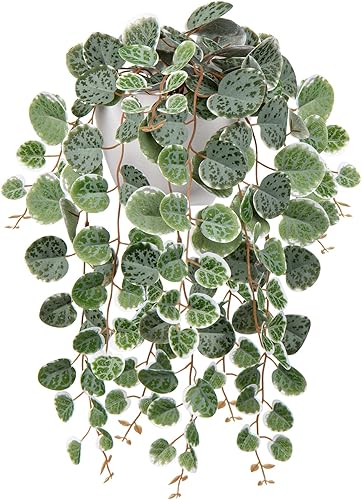 Briful Plantas colgantes de imitación para interiores de 17 pulgadas, cadena artificial de corazón con semicírculo para montaje en pared, plantas de