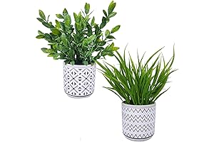 Winlyn Small Artificial Grass Plant in Chic Concrete Pots