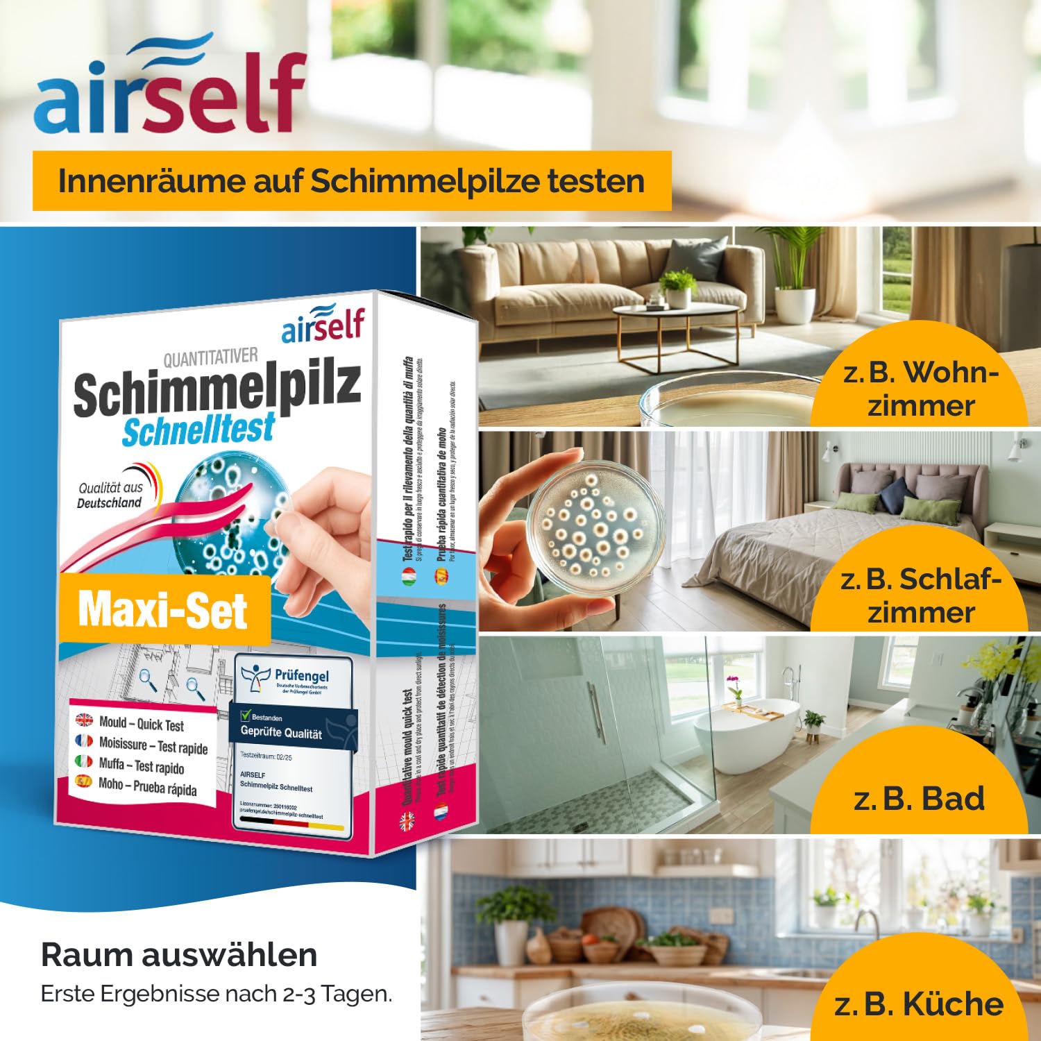 airself Schimmeltest Maxi-Set, 12 Nährböden | zur Untersuchung der Schimmelpilzbelastung in Innenräumen