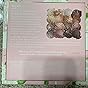 LAURA GELLER NEW YORK Marble-ous Eyes Eyeshadow Palette – 16 Multi-Finish Baked & Marbled Eyeshadows in Matte & Satin Finishes – Limited Edition Draper James Collaboration