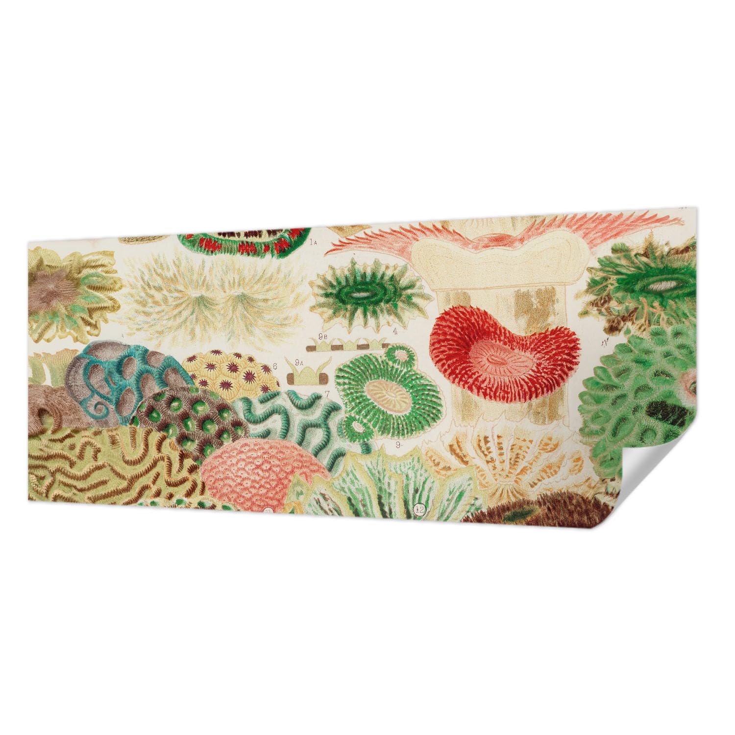 Papier peint adhésif panoramique 250x104 cm Tulup décoration murale formes organiques