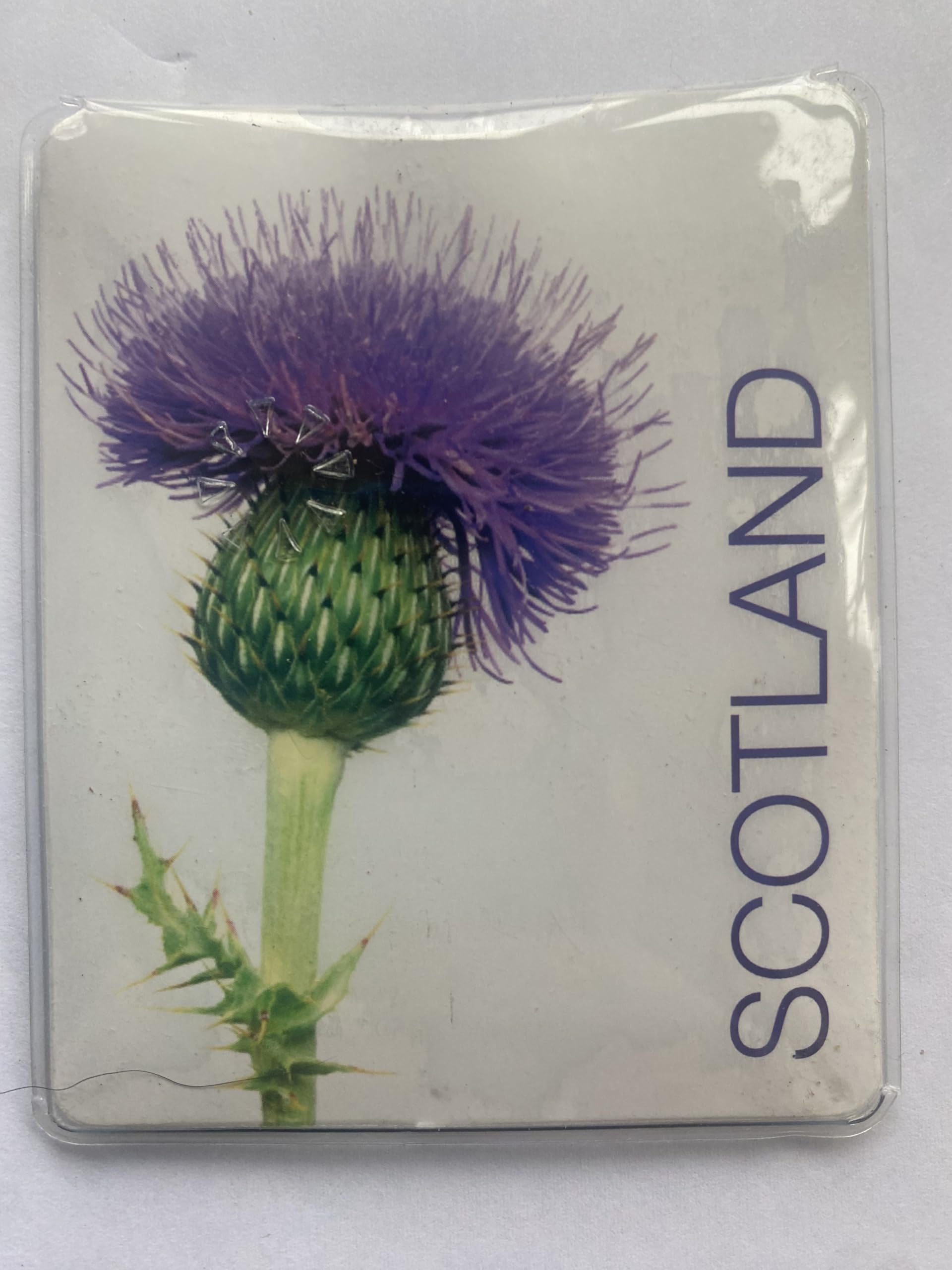 Chichi Multicolour Maranda-Ti Mi Torch Scotland Thistle Handy Handbag Purse Flashlight Mt133