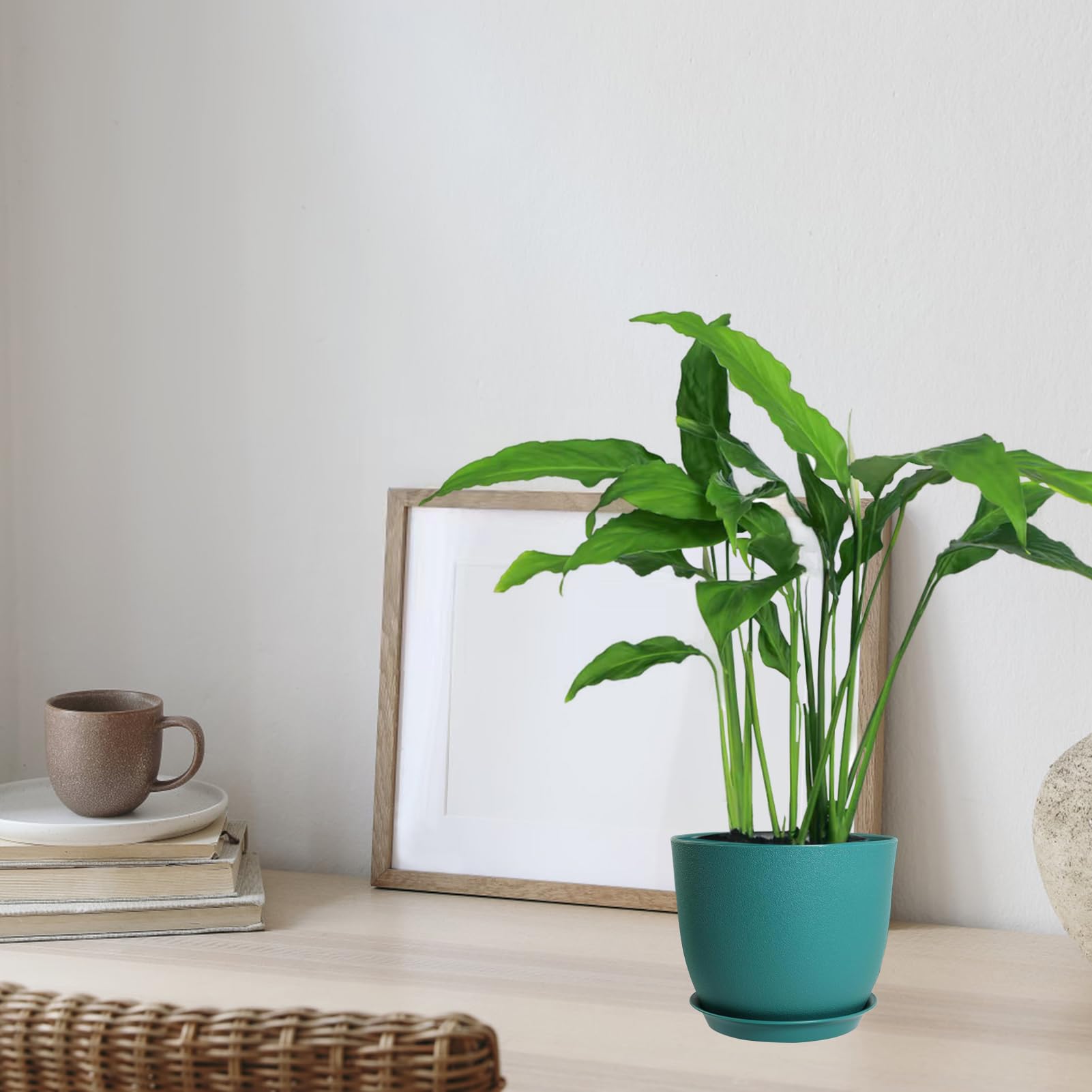 PROFIKLA 20cm, 18cm, 16cm Plastic Plant Pots, Plant Pots with Drainage Holes and Saucers, A Set of 3 Flower Pots - Image 4