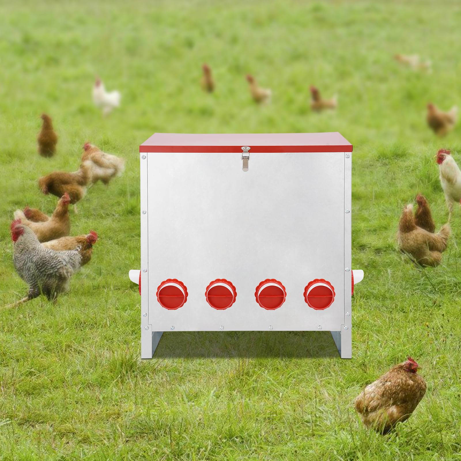 Comedero automático para pollos, 30 kg, capacidad de 30 kg, accesorio para gallinas, comedero para pollos con 10 aberturas para pollos, pavos, gansos, patos, codornices