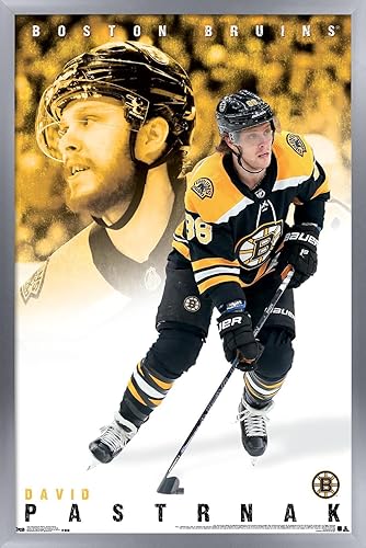 Miniatura 10 de Trends International NHL Boston Bruins - Póster de pared de David Pastrnák 19, 14.725 x 22.375 pulgadas, versión enmarcada en negro