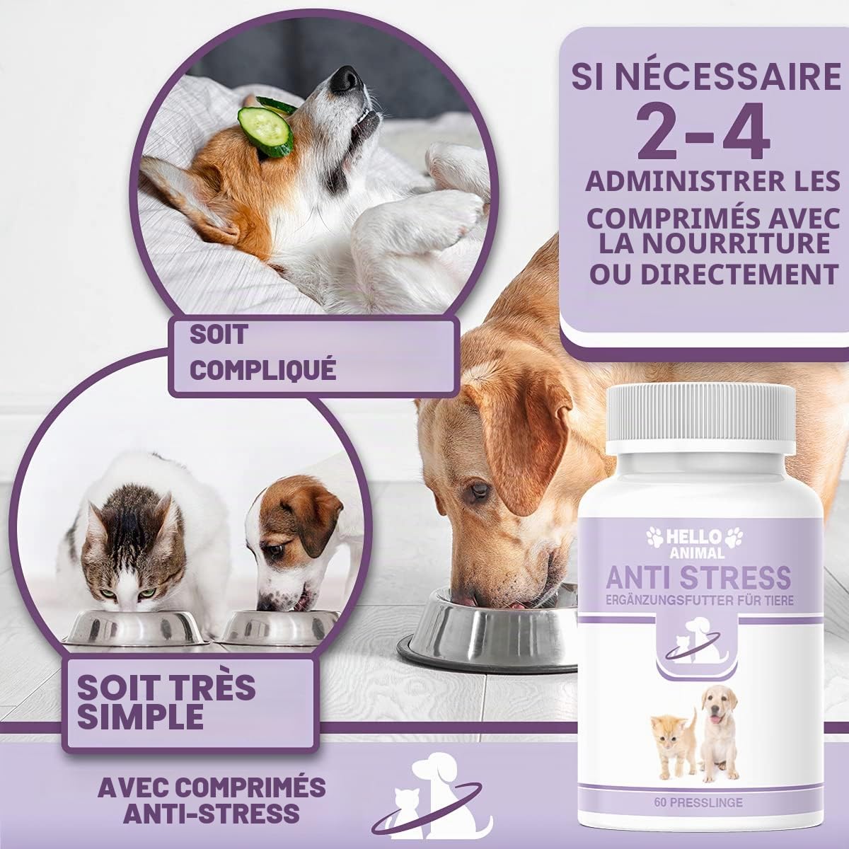 Hello Animal Anti Stress Chien – Comprimés hautement dosés à la Valériane – calmant Naturel pour Chiens et Chats anxieux – réduit Le Stress – Le décontractant Contre Panique, anxiété et nervosité