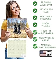 Vista 822 de Razas de Perros 2017